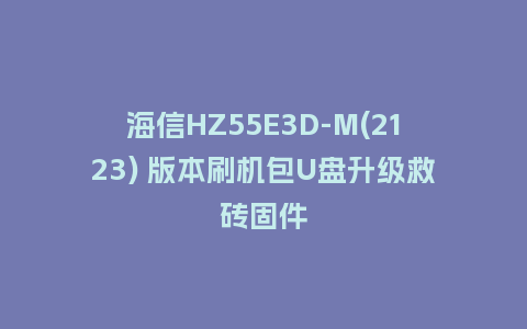 海信HZ55E3D-M(2123) 版本刷机包U盘升级救砖固件